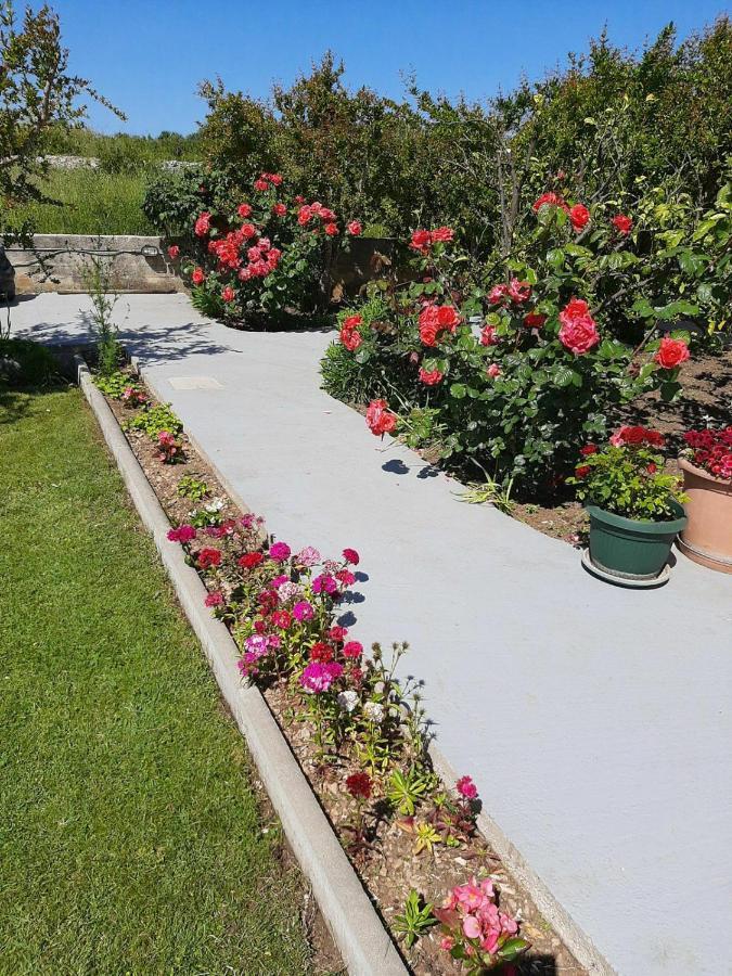 Apartment Jurat Vodice Exterior photo